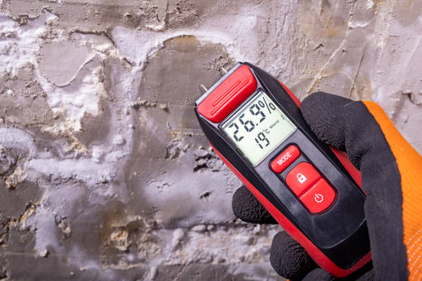 Best Office Mold Removal Services  in Bayonet Point, FL