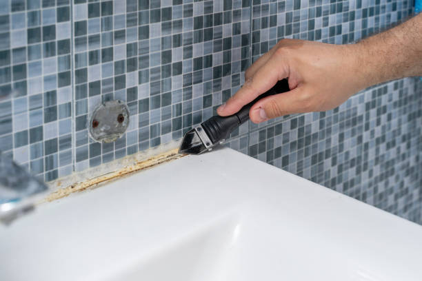 Best Mold Testing  in Bayonet Point, FL